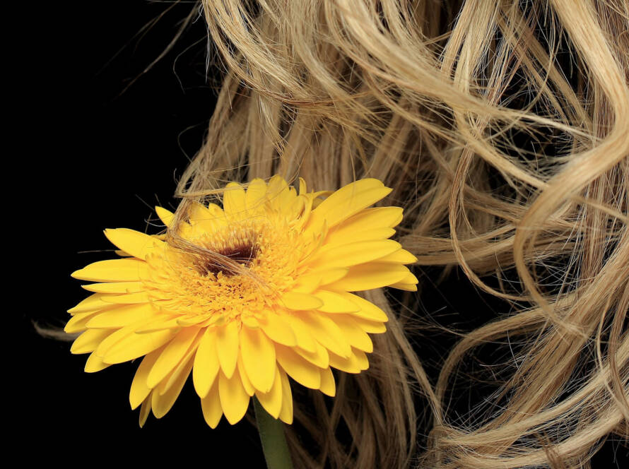 photo fleur jaune et cheveux blond sur un fond noir